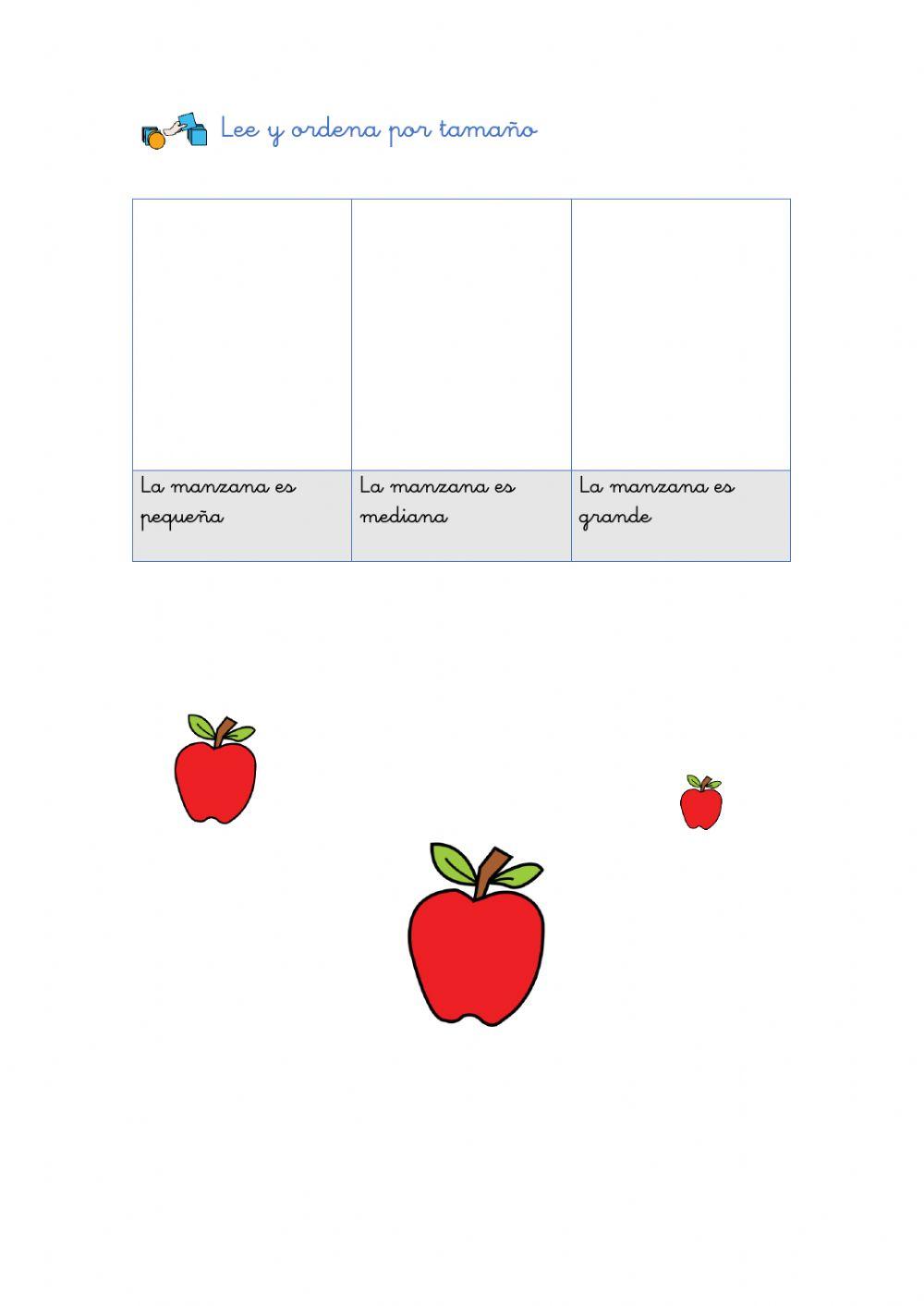 Concepto básico: tamaños