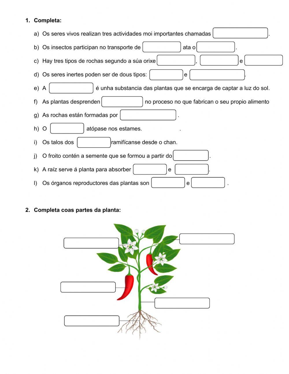Repaso Naturais Tema 3