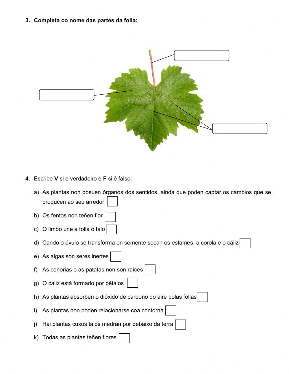 Repaso Naturais Tema 3