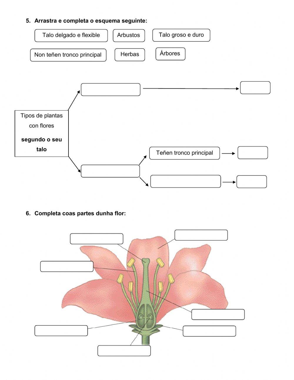 Repaso Naturais Tema 3