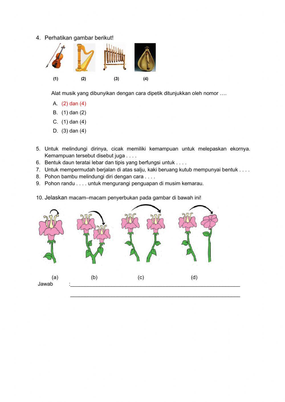 Lembar Kerja Siswa IPA