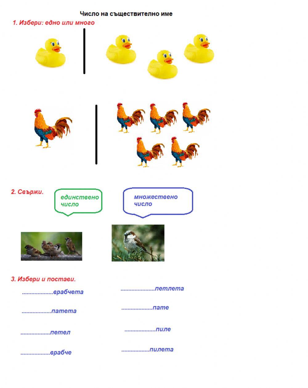 Число на съществително име