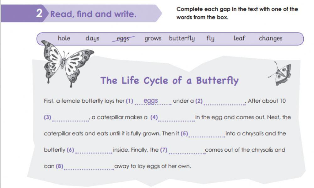 Life cycle 628406 | Ali Alnukhaili | LiveWorksheets