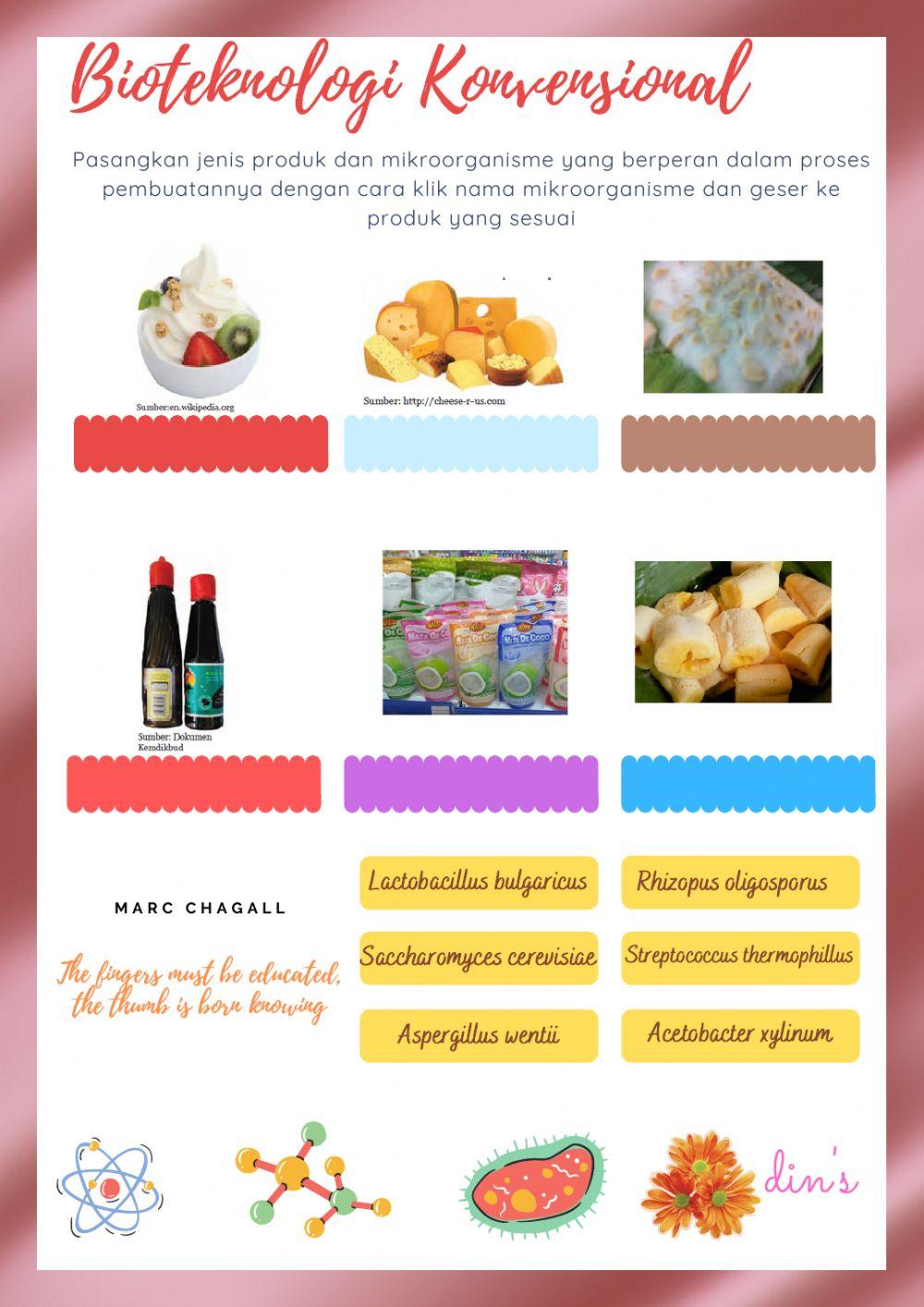 Bioteknologi Konvensional