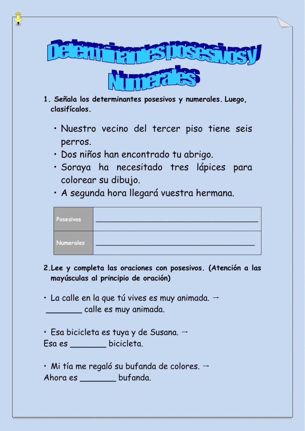 Determinantes posesivos y numerales