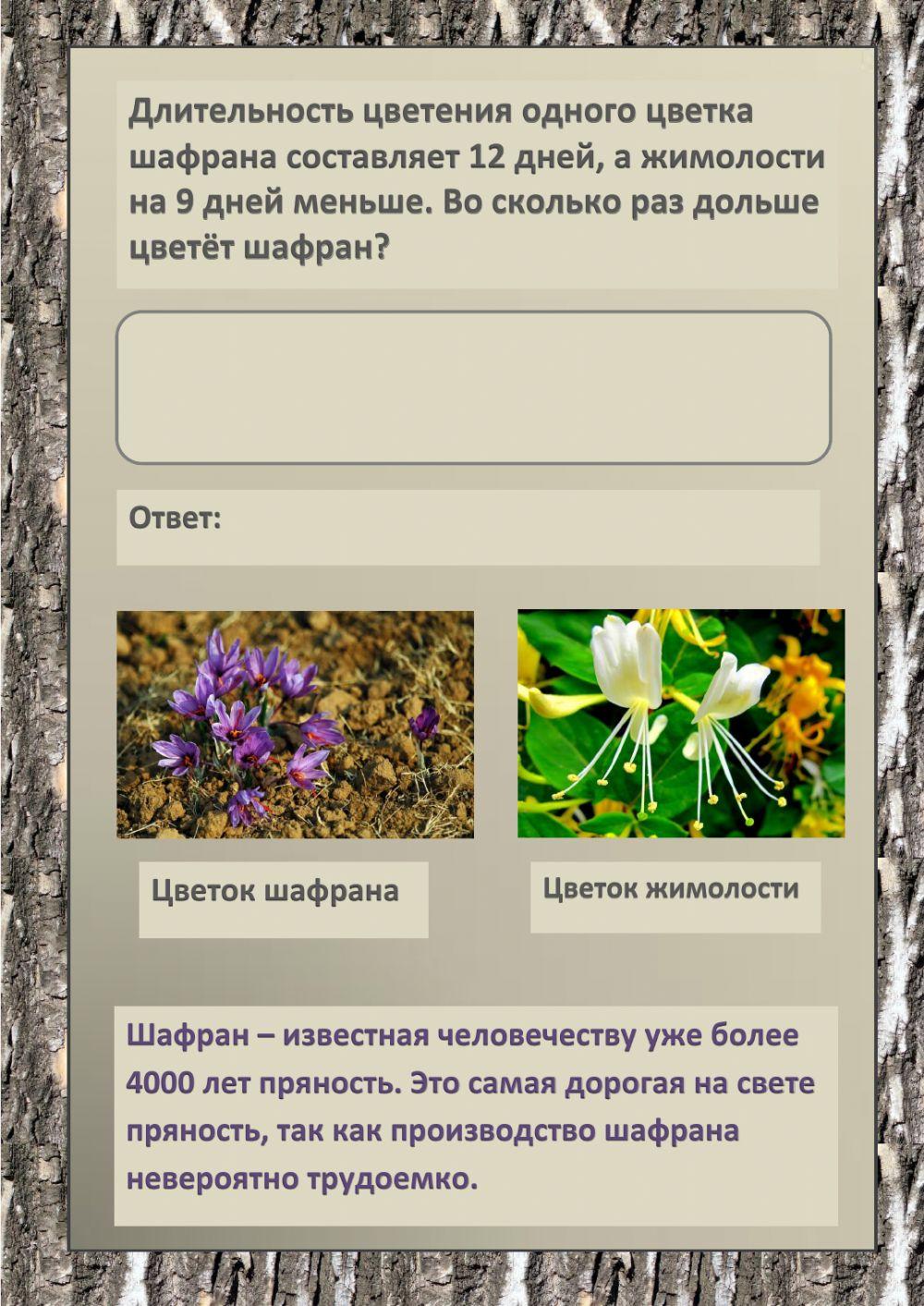 Познавательные задания