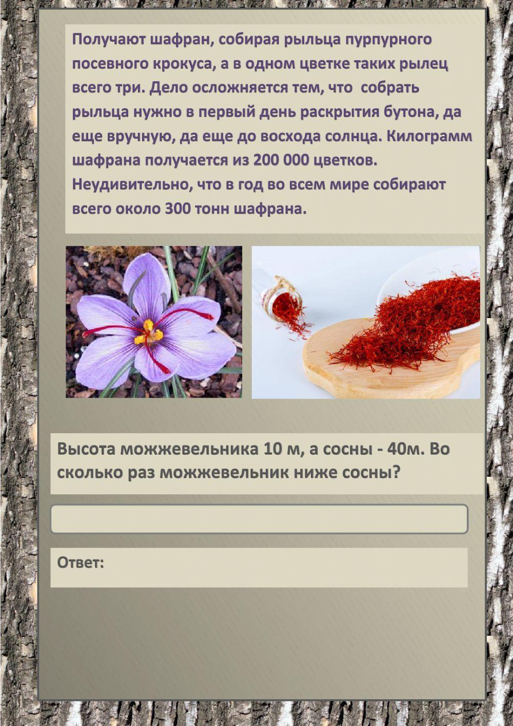 Познавательные задания