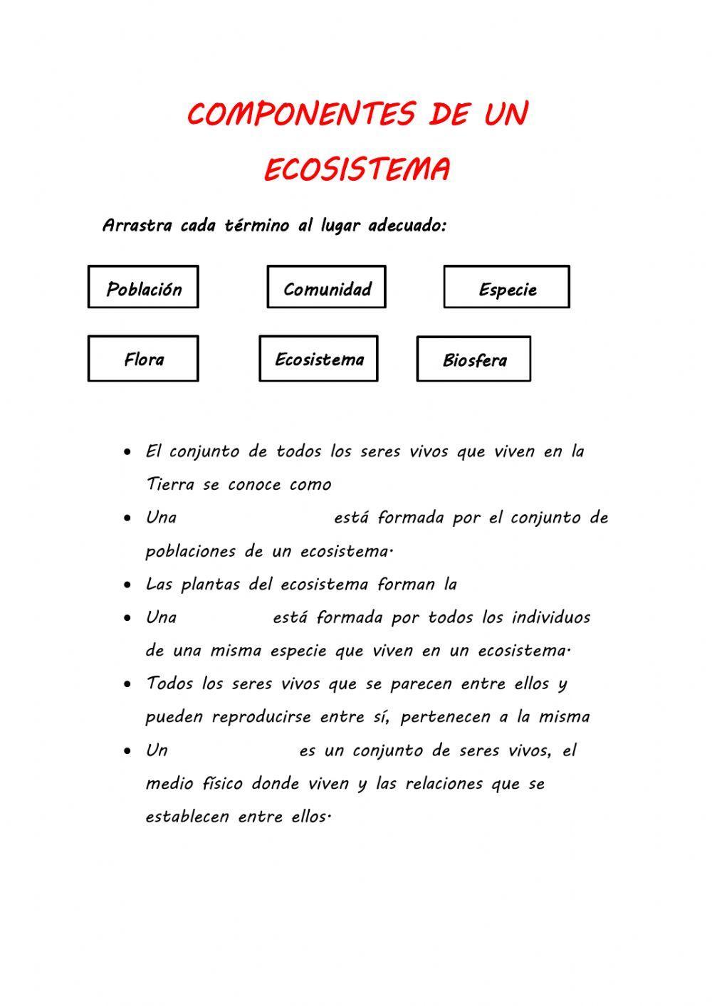 Componentes de un ecosistema