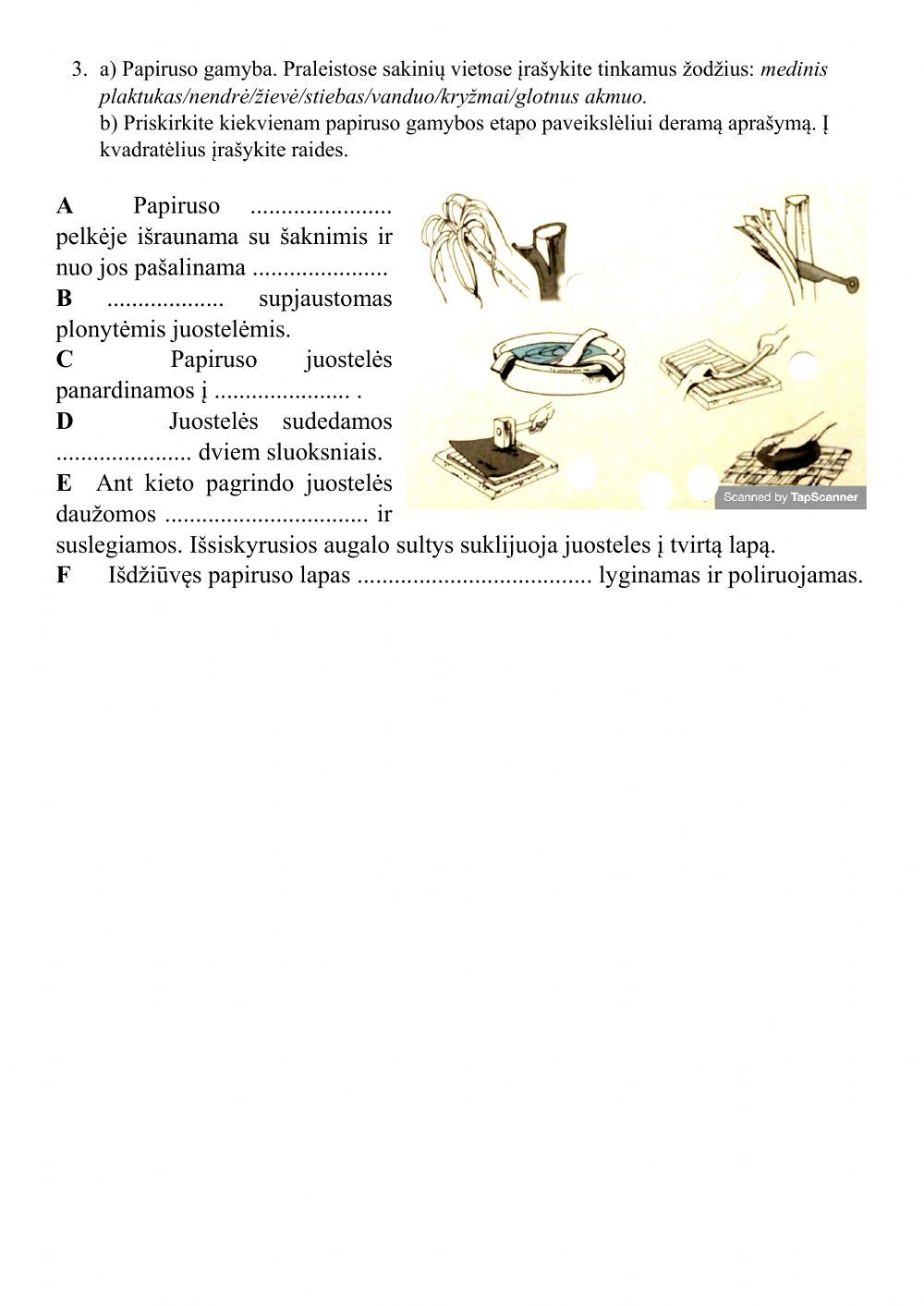 Egipto raštas ir raštininkai