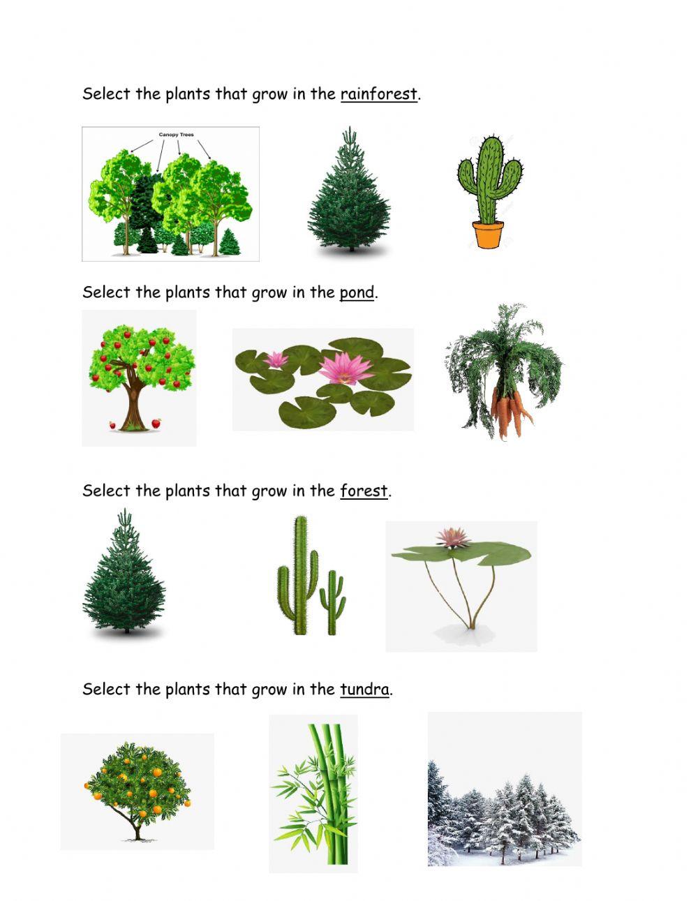 6355998-places-where-plants-and-animals-grow-science