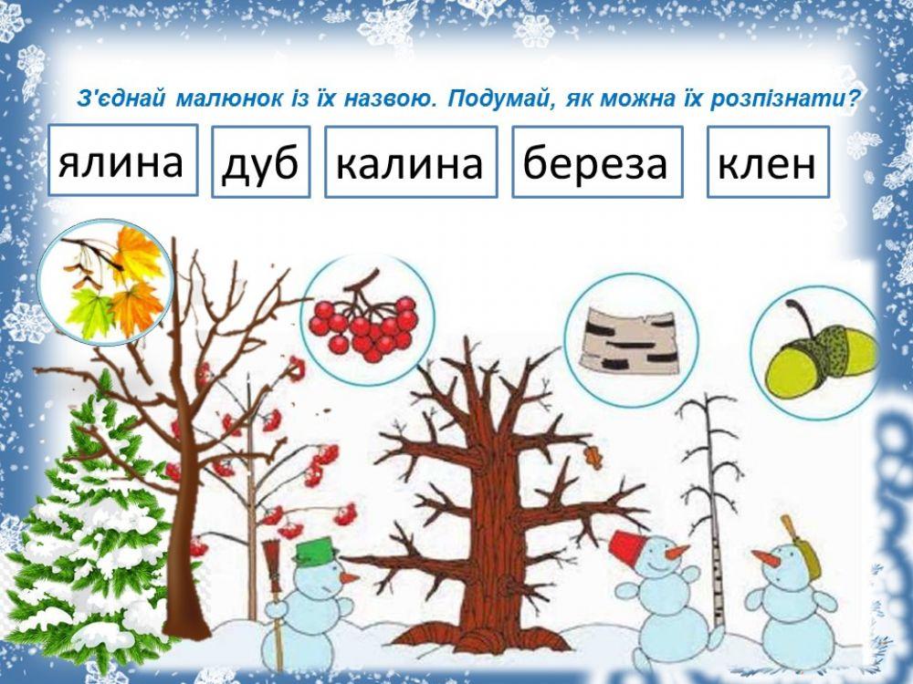 Рослини взимку