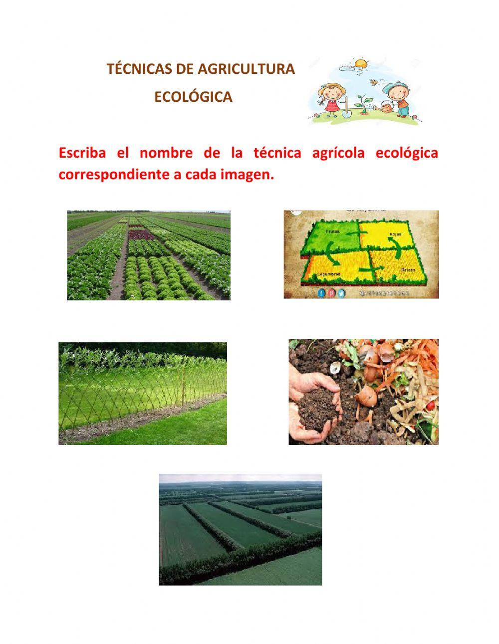 Tecnicas de agricultura ecológica