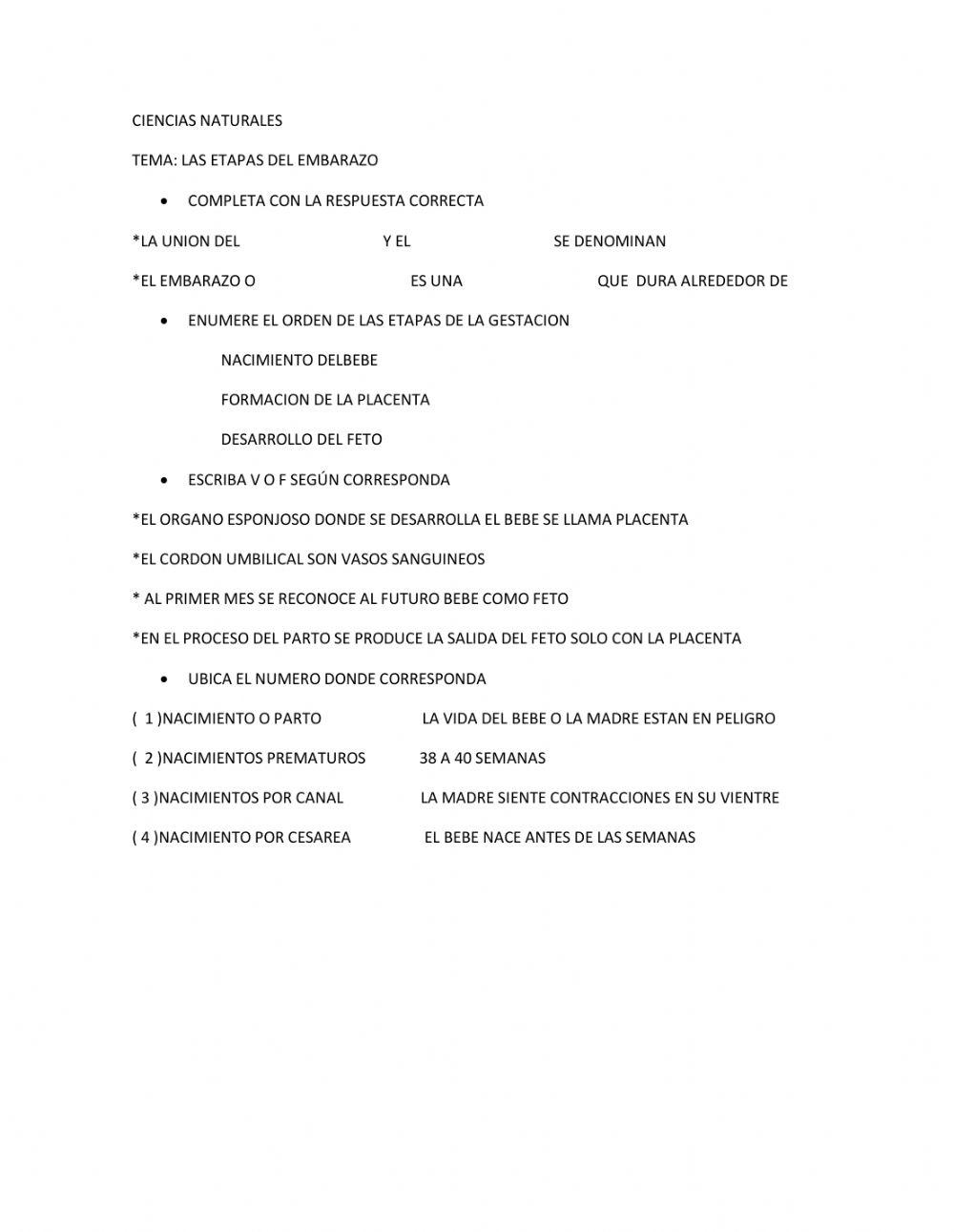 Las etapas del embarazo