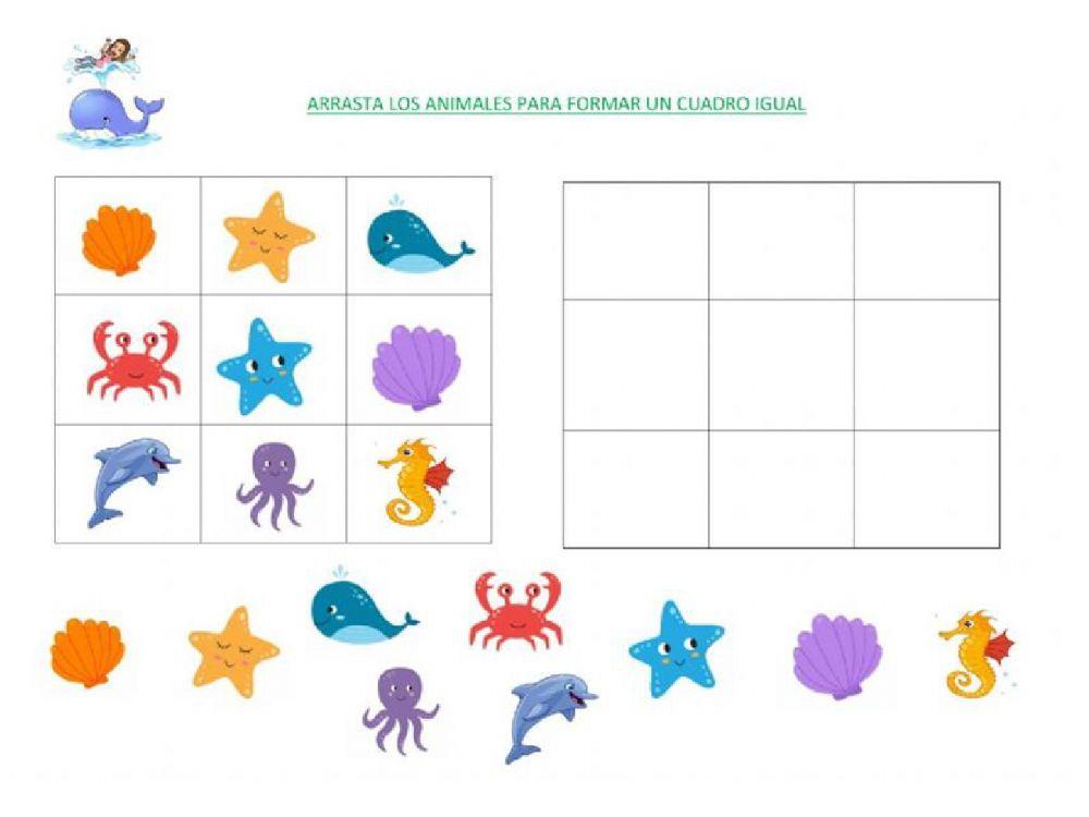 Orientación espacial y conteo