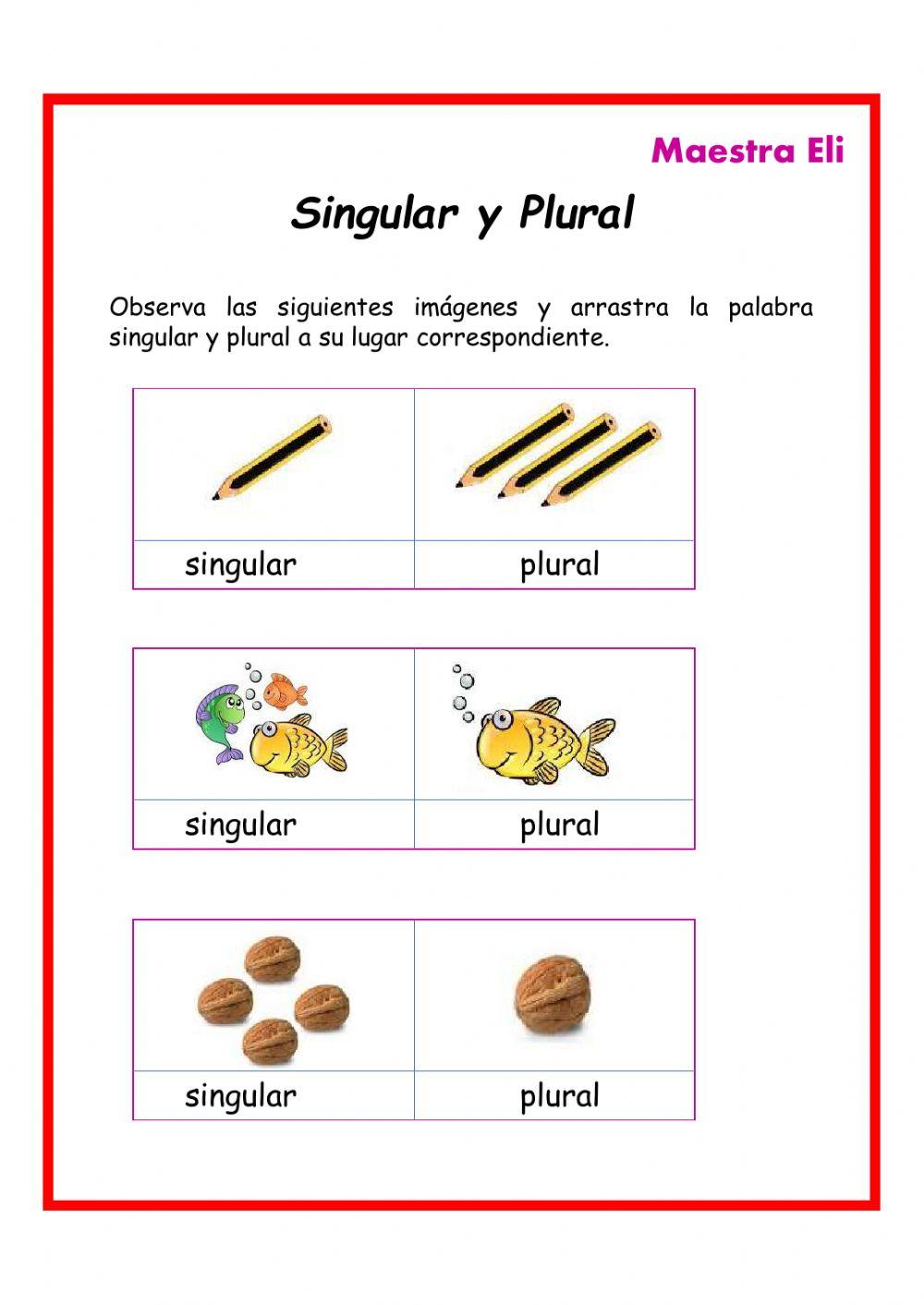 Singular y Plural