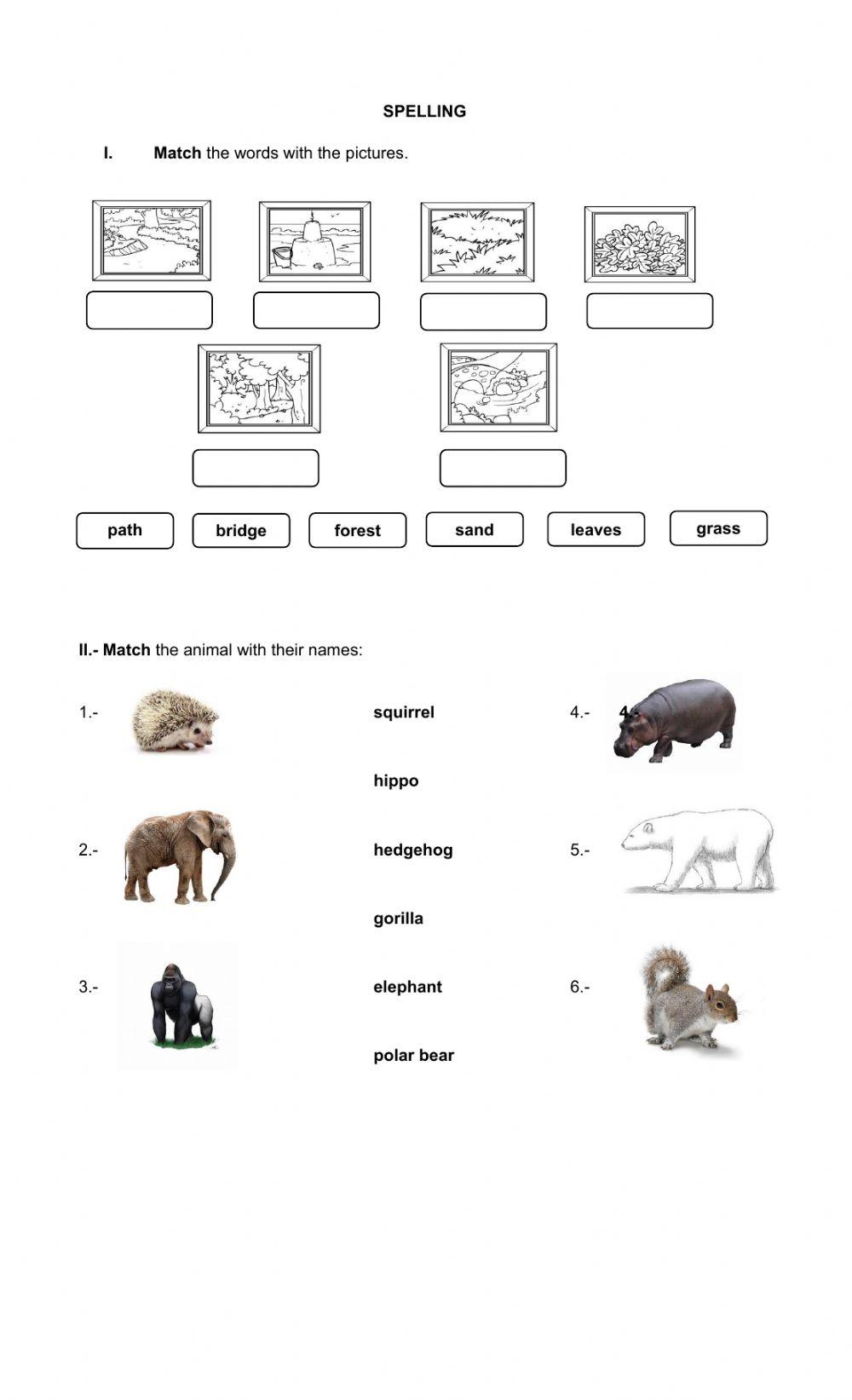 Have got- present progressive