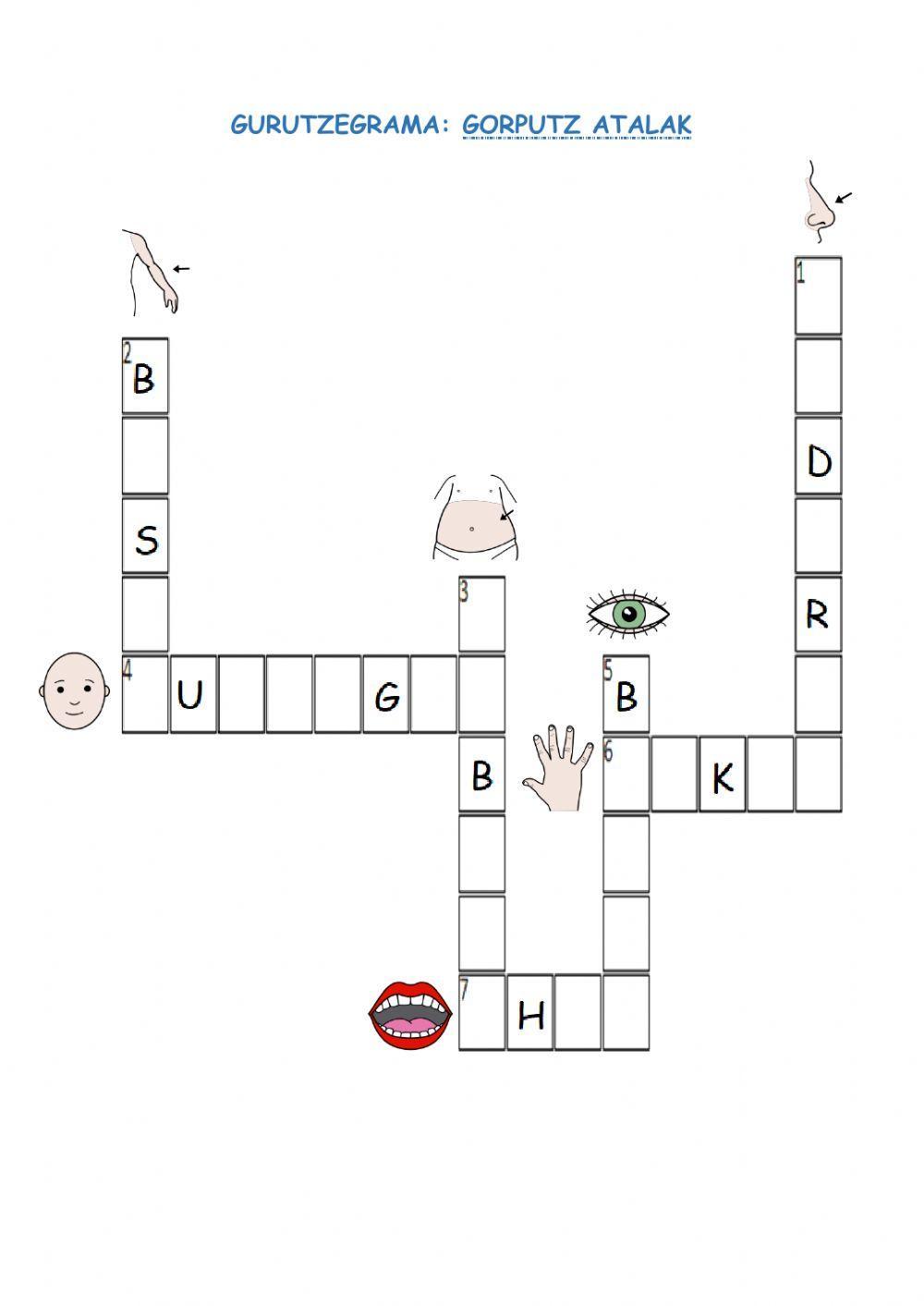 Gurutzegrama gorputz atalak