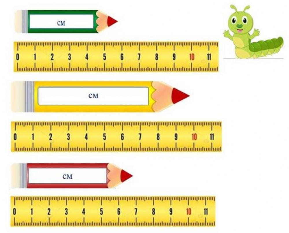 Измерение длины 630598 | Гладир Ганна | Live Worksheets