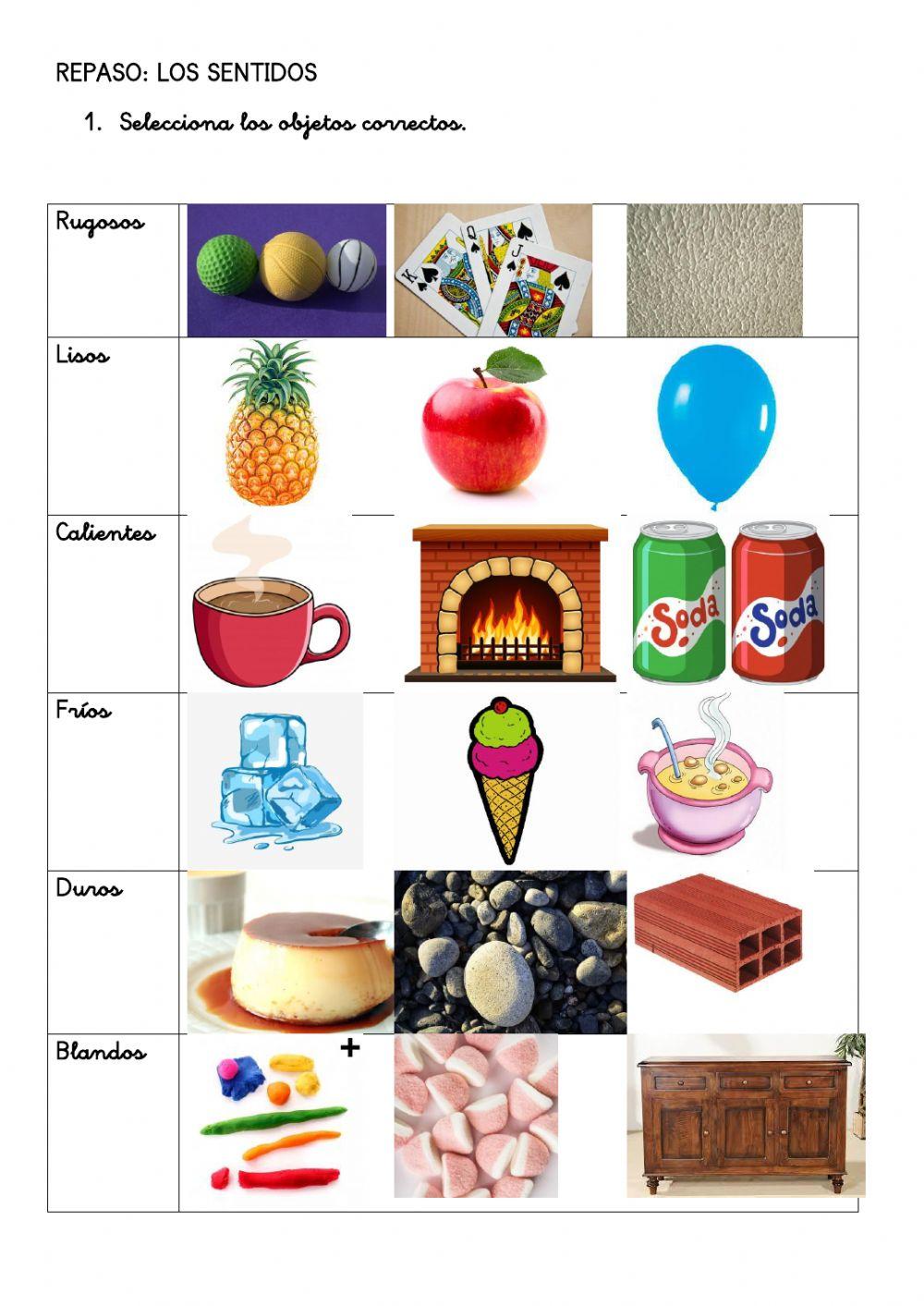Repaso CCNN - Los sentidos 1
