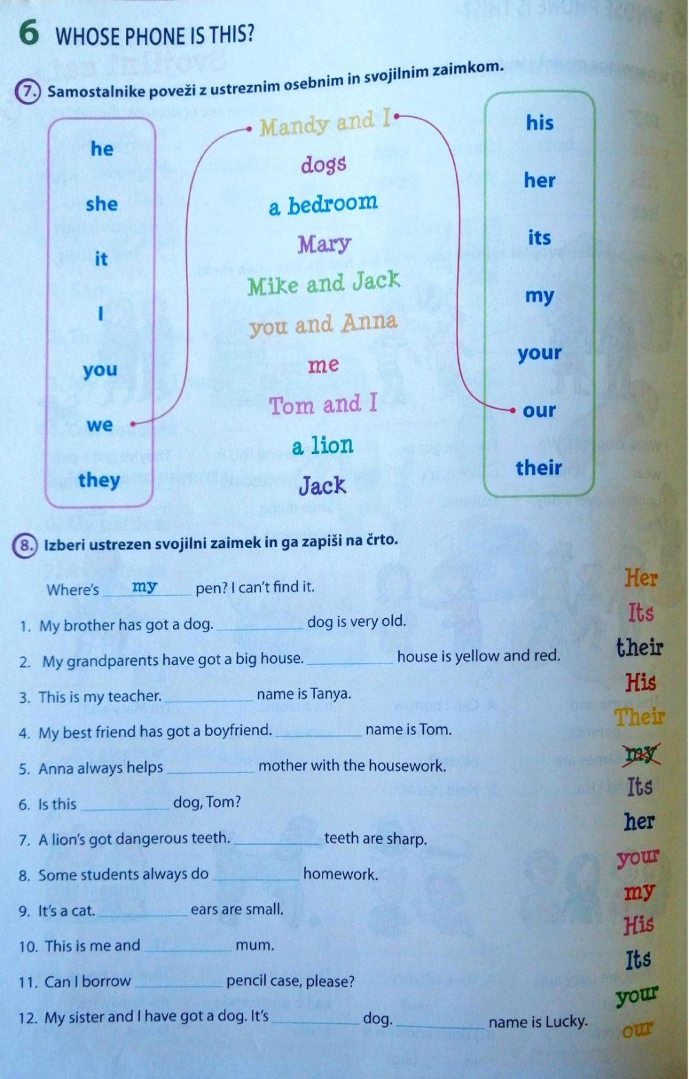 Possessive adjectives