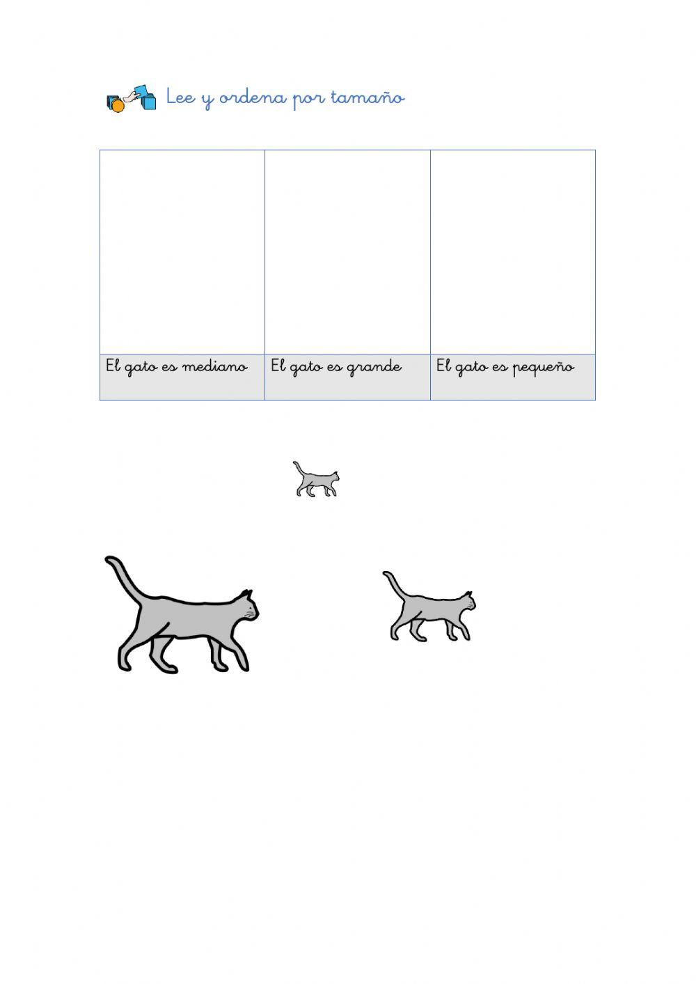 Concepto básico: tamaños Concepto básico: tamaños