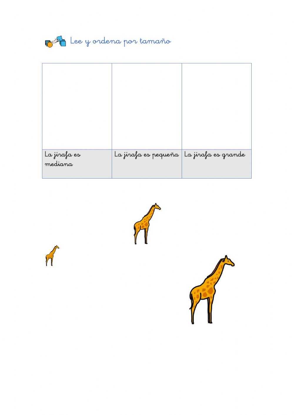 Concepto básico: tamaños Concepto básico: tamaños