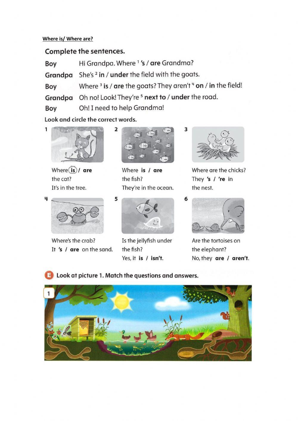 Where is - Where are