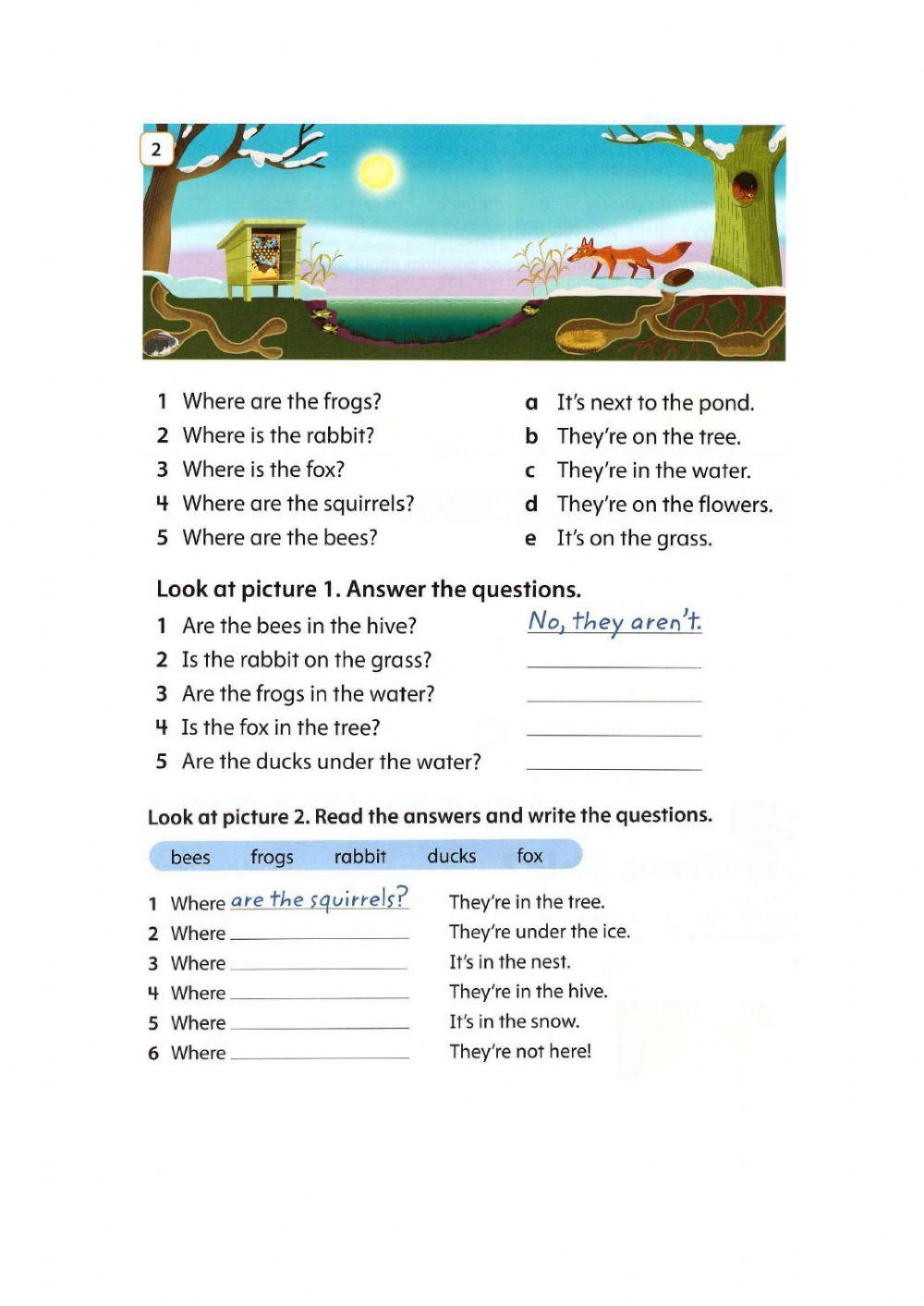 Where is - Where are