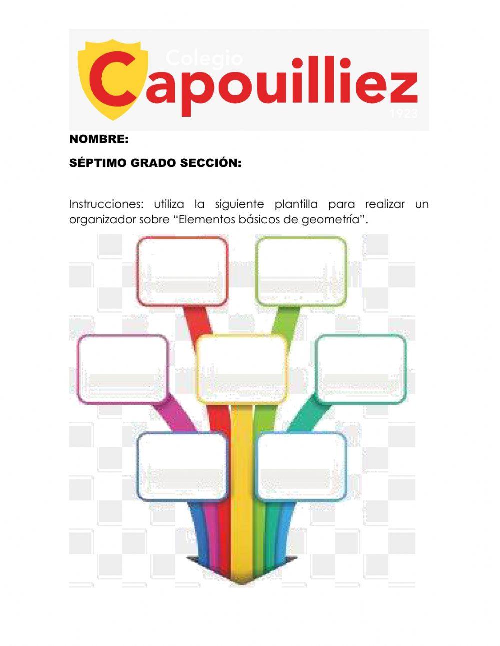 Organizador gráfico