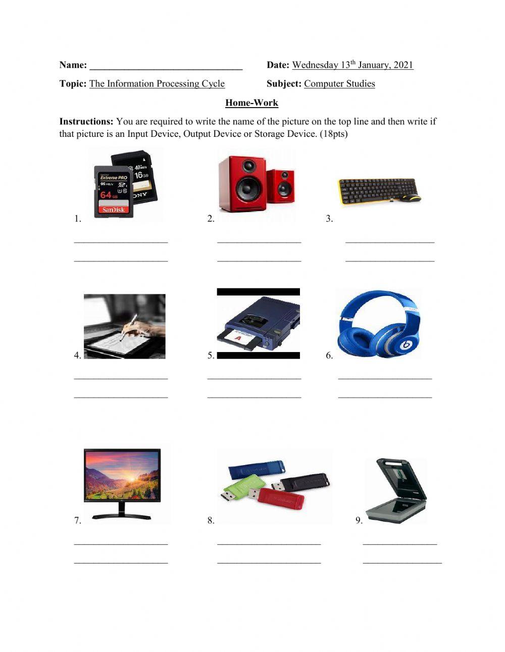 Information processing cycle homework classification online exercise