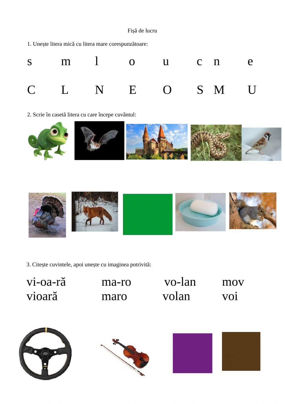 Fișă de lucru