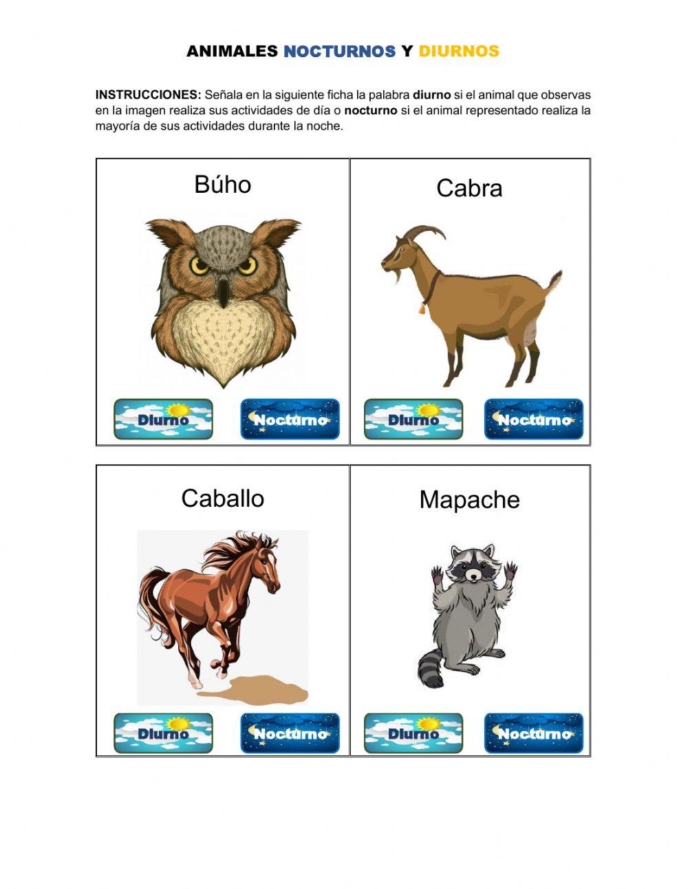 ¿Diurno o nocturno?
