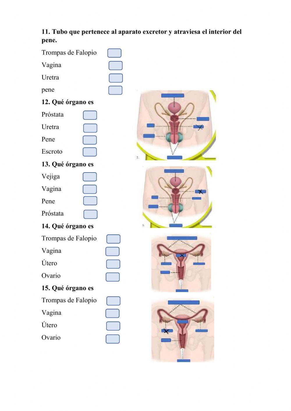 Función de nutrición