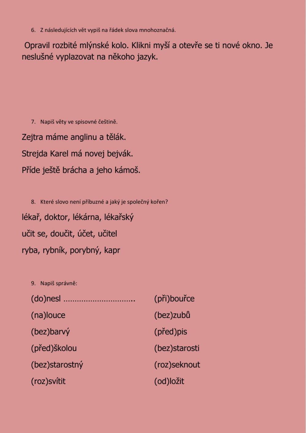 ČJ - pololetní opakování