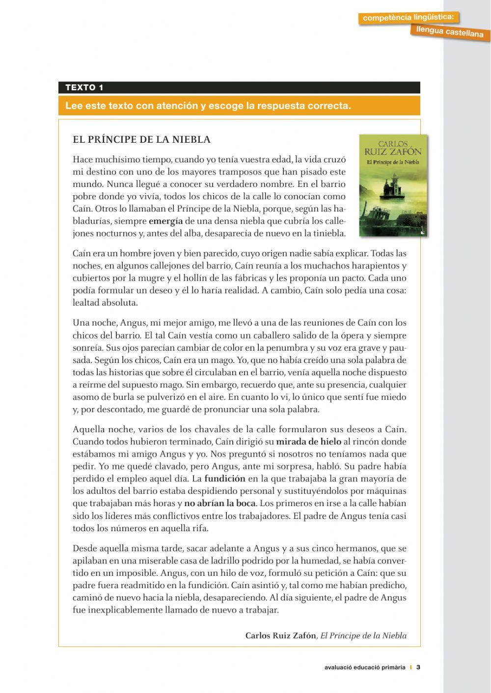 El principe de la niebla