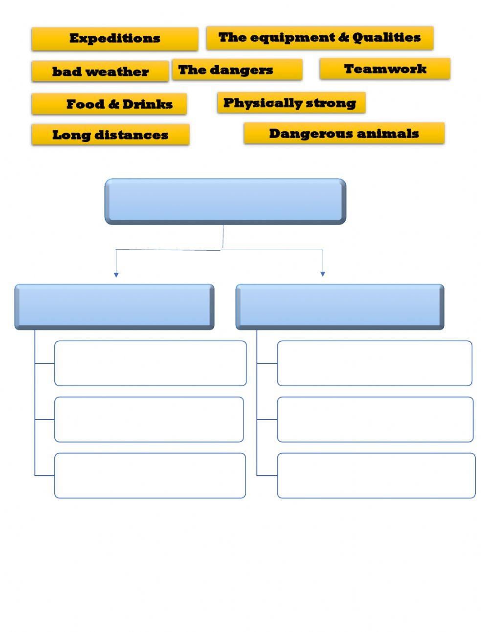 Graphic organizer