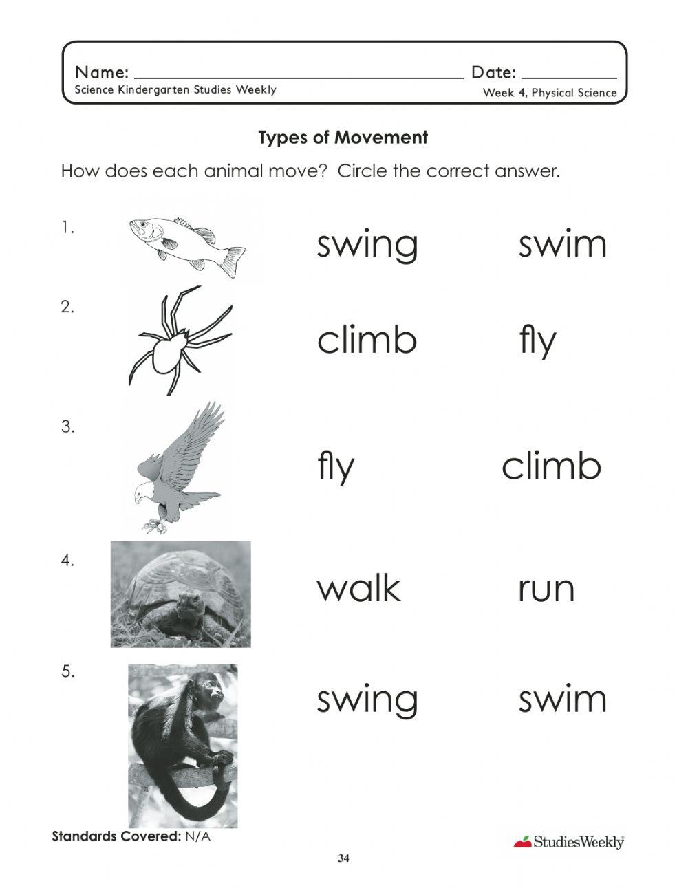 Types of Movement