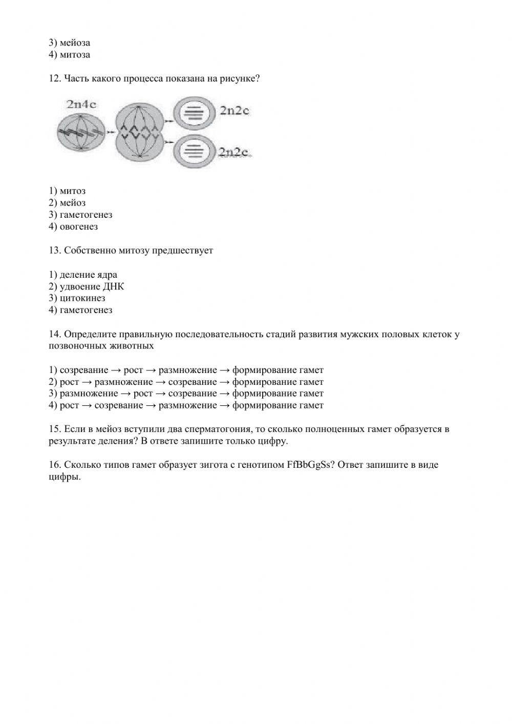 Гаметогенез