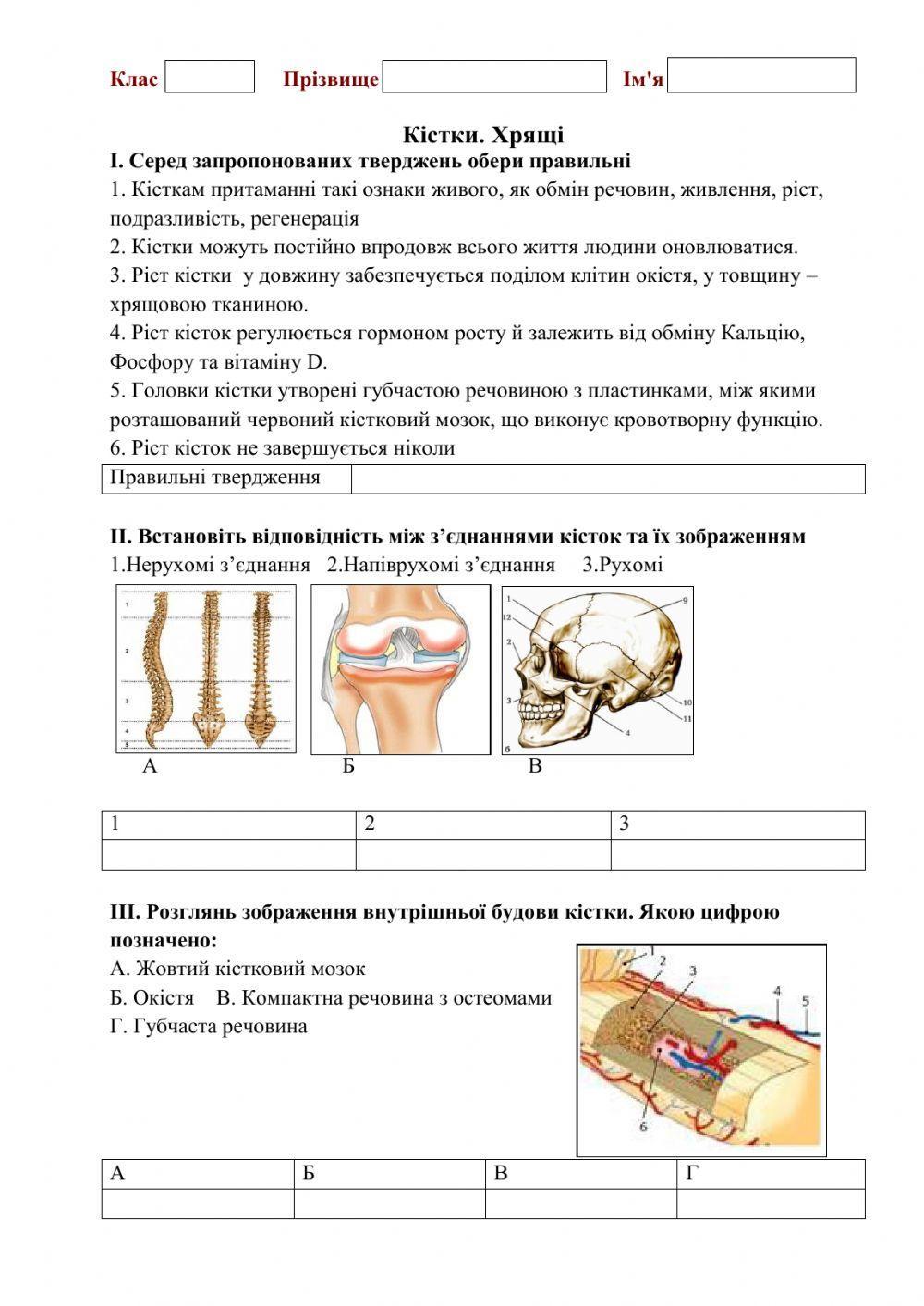 Кістки 632920 | Iryna Dobrovolska | LiveWorksheets