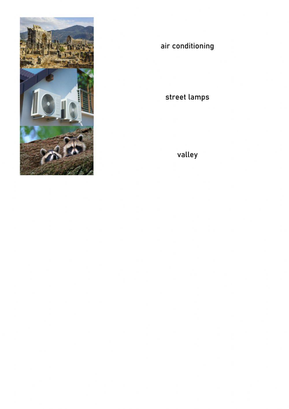 Environment Vocabulary