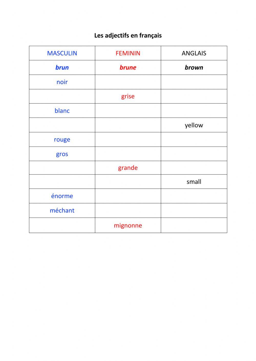 Adjectives in French