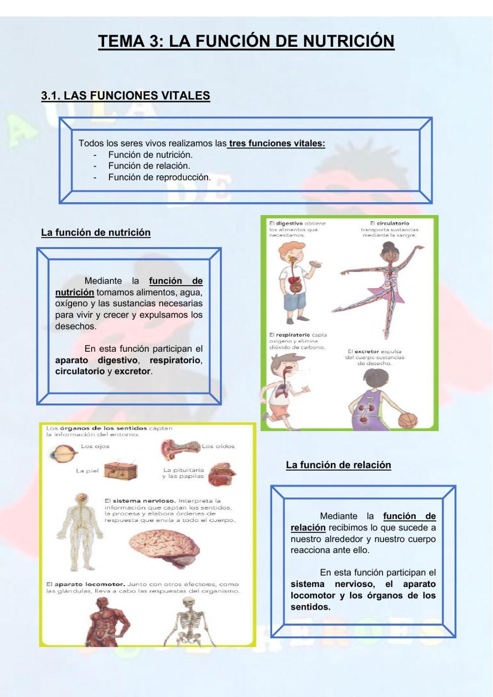 Funciones vitales