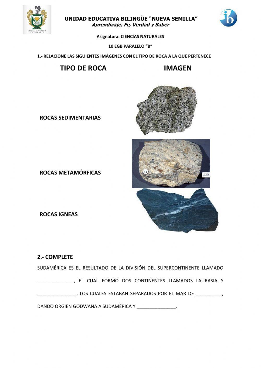 Formación de sudamerica y cordilelra de los andes