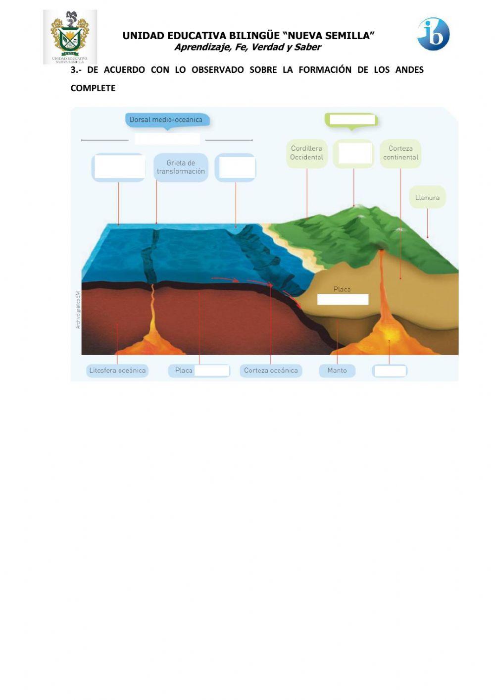 Formación de sudamerica y cordilelra de los andes