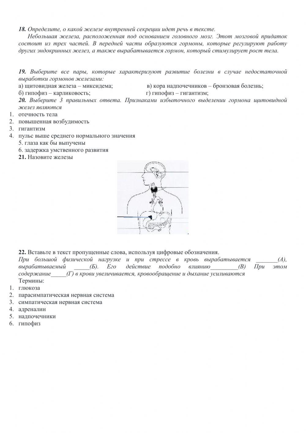 Эндокринные железы