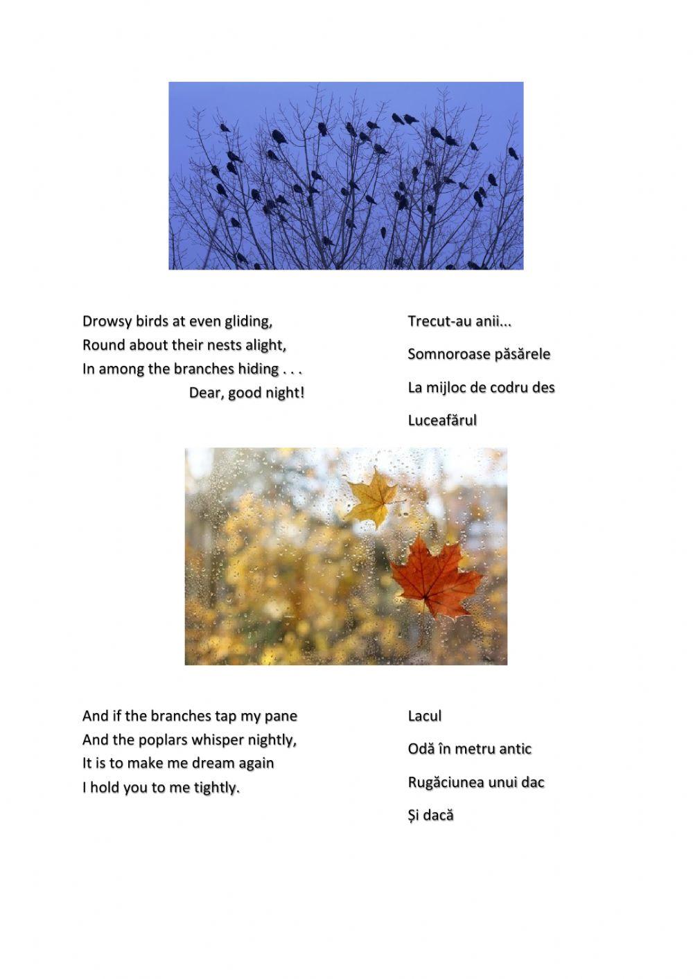 National culture day in Romania