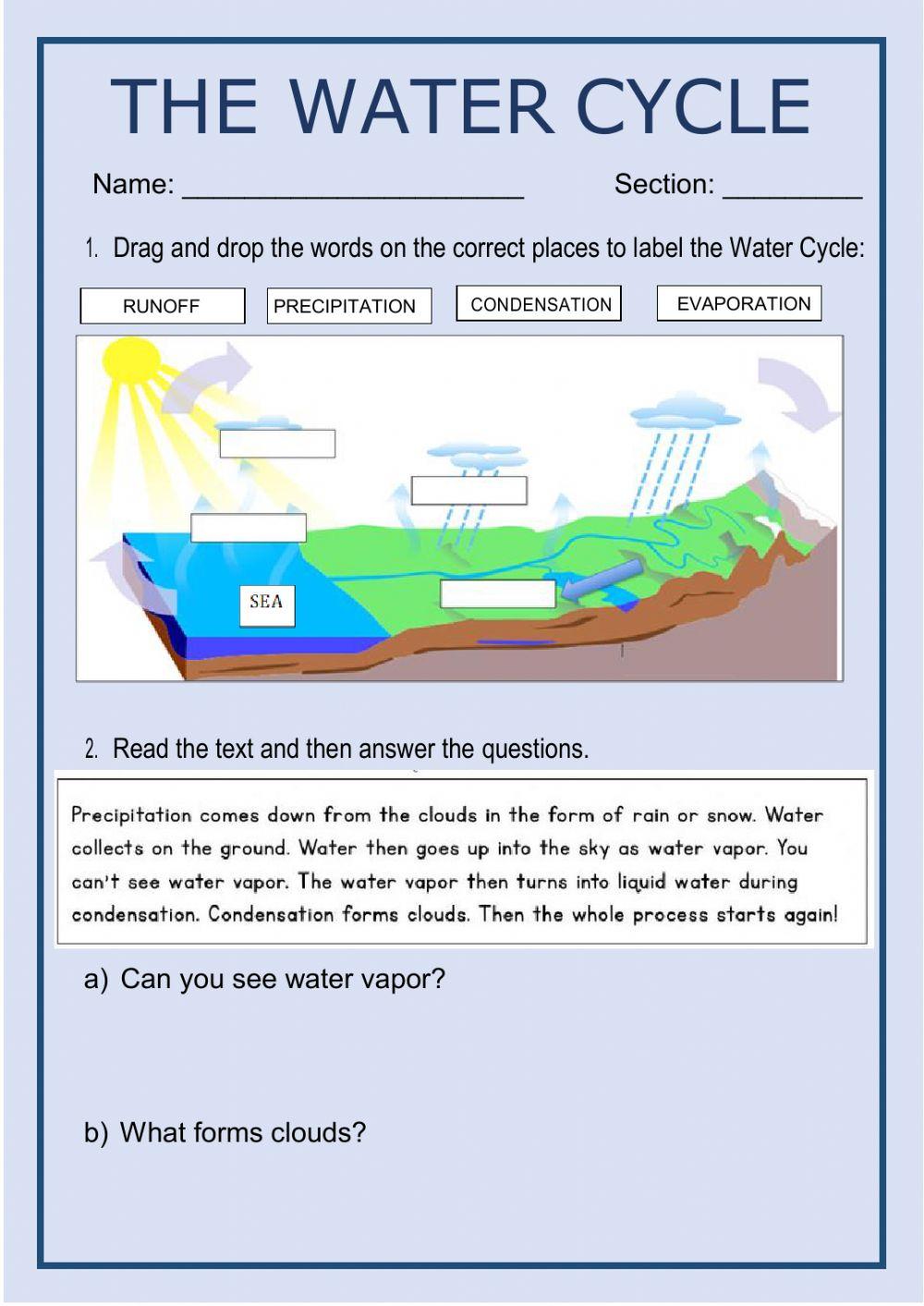 Water Cycle