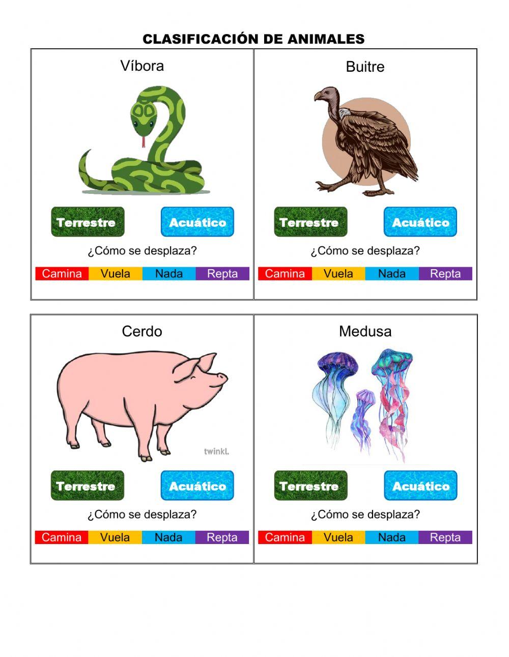Clasificación de animales