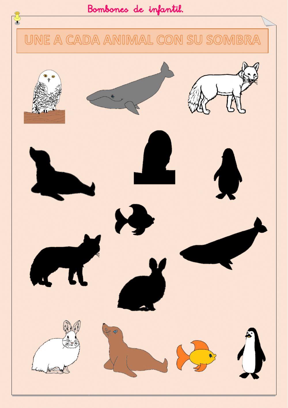 Une a cada animal con su sombra