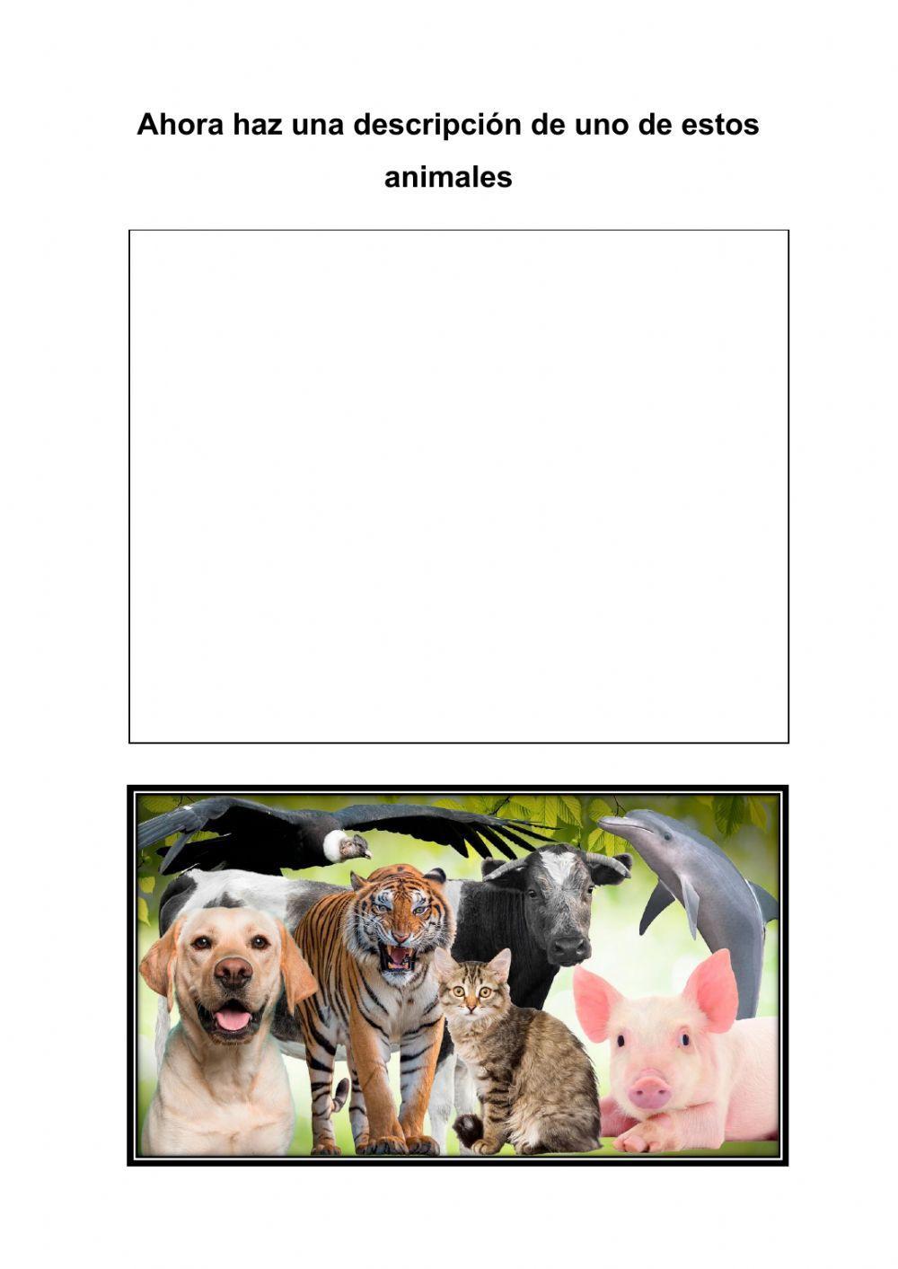 La descripción de un animal